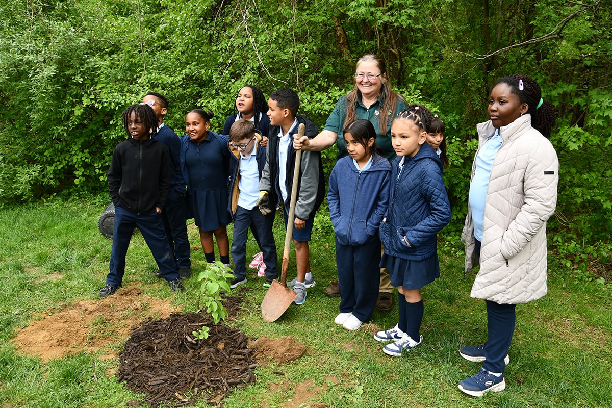 students-staff-around-planted-tree