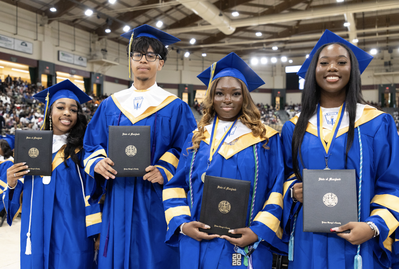 Wise Grads