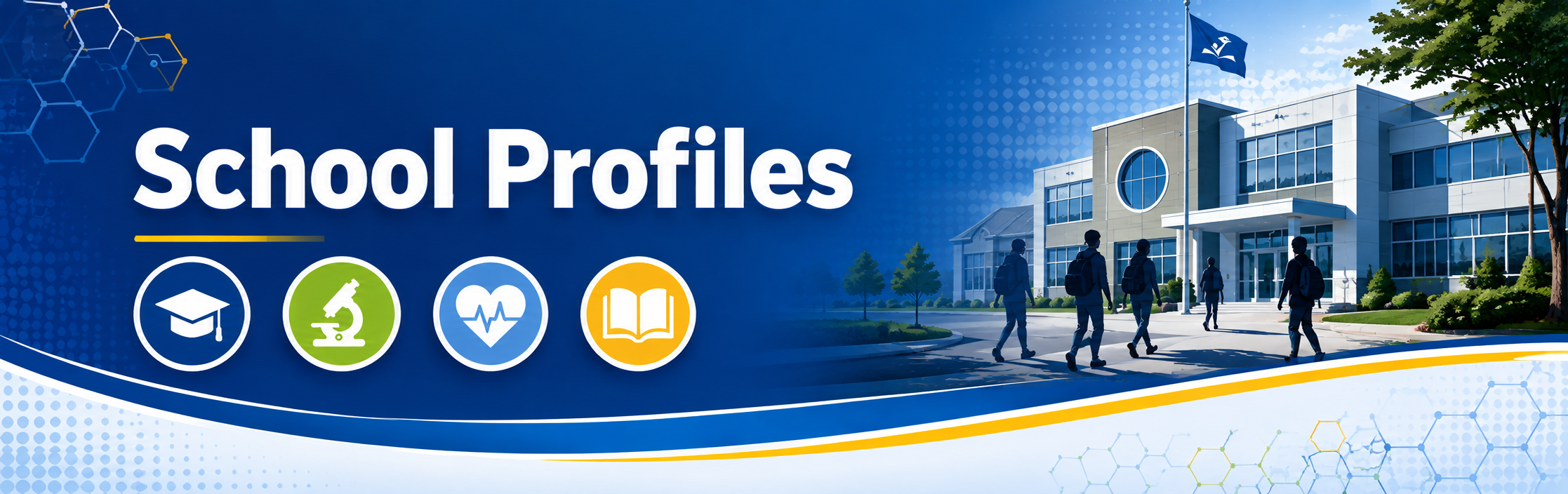 School Profiles banner