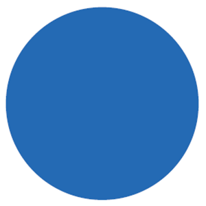 circle medium blue.PNG