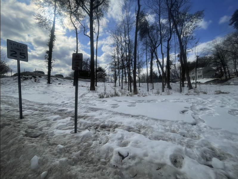 Silence After the Snow