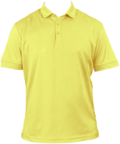 Golden-Rod-Polo.png