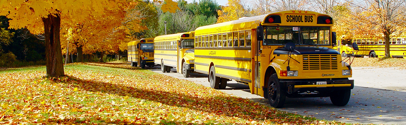 H-bus-autumn-leaves.jpg
