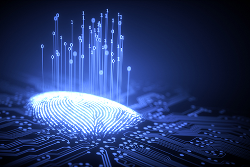 M-fingerprint-digital.jpg