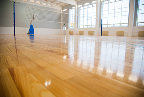 M-gym-net.jpg