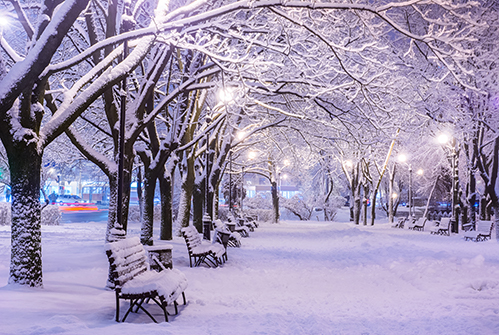 M-snow-in-park.jpg