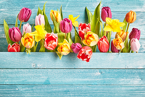 M-spring-flowers-in-box.jpg