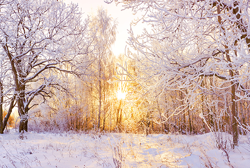 M-winter-landscape.jpg