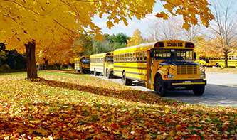 T-bus-autumn-leaves.jpg