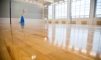 T-gym-net.jpg