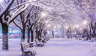 T-snow-in-park.jpg