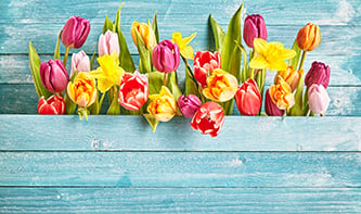 T-spring-flowers-in-box.jpg