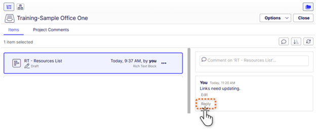 Comment-project item reply.png
