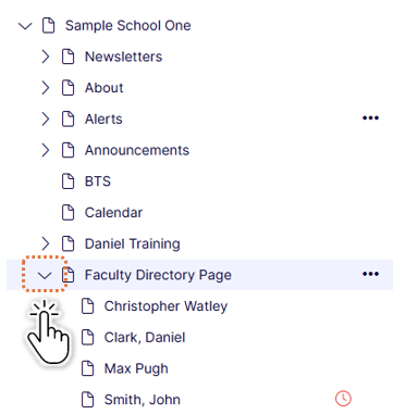Faculty-expand-list.PNG
