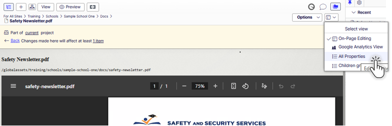 On-Page Editing View of Document switch to All Properties view