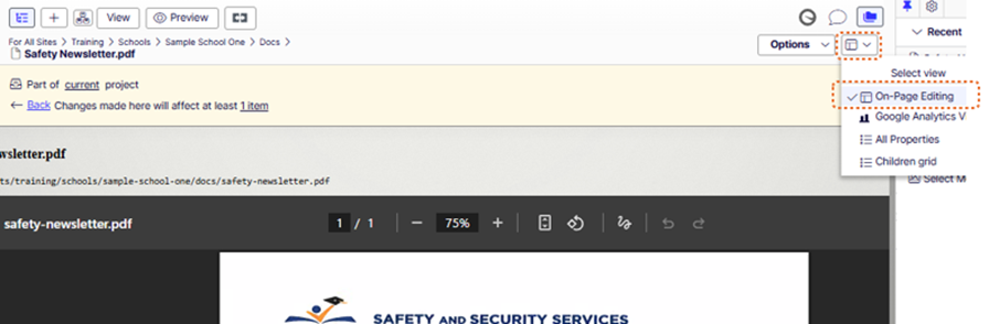 On-Page Editing View of Document.PNG