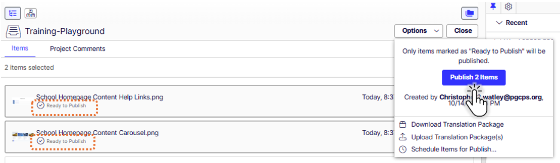 project-publish-menu.PNG