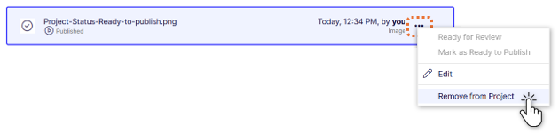 Project-Item-Context-Menu-Remove.png